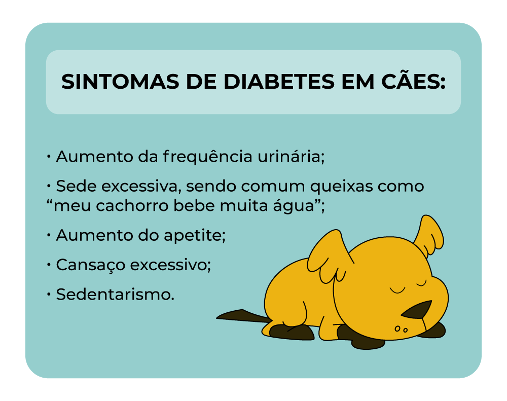 diabetes em cães
