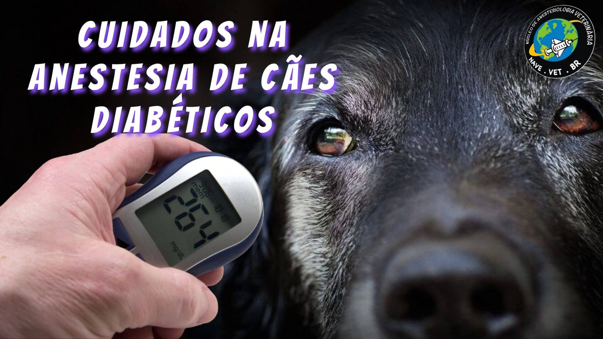 diagnóstico diabetes em cães