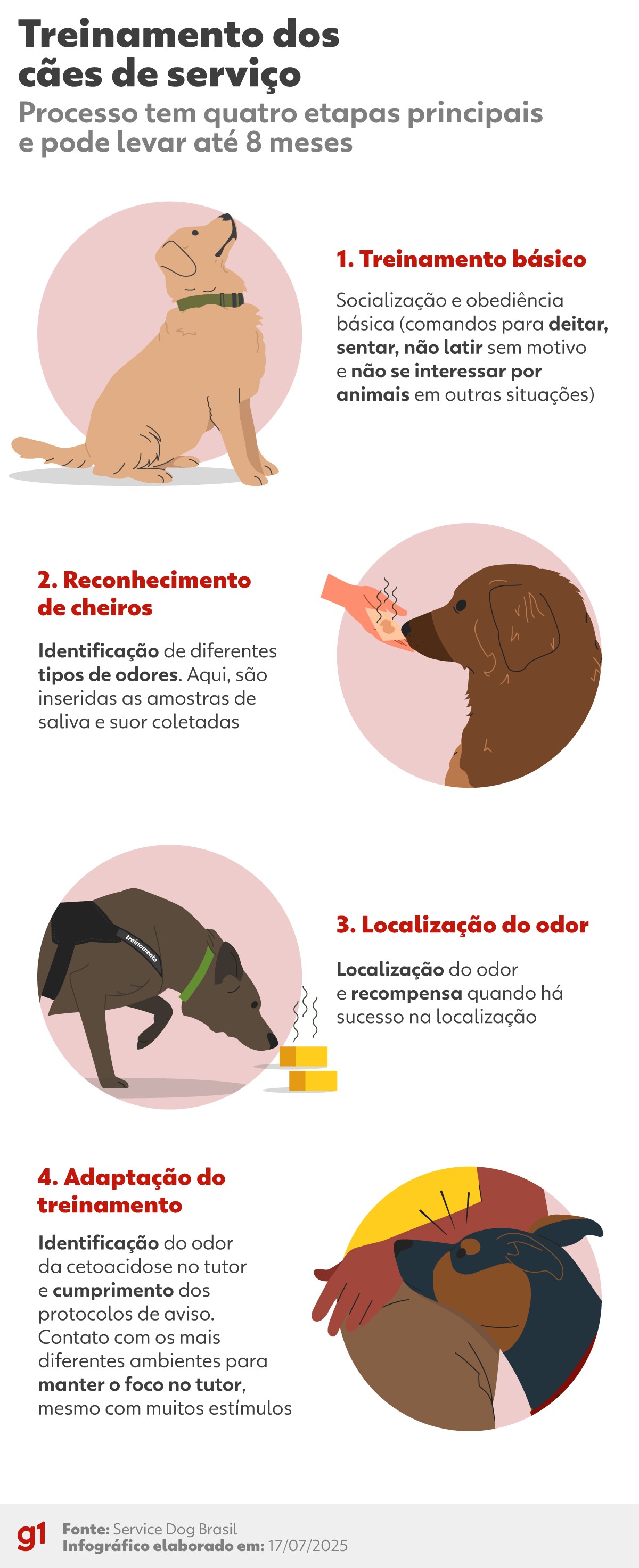 sintomas diabetes canina
