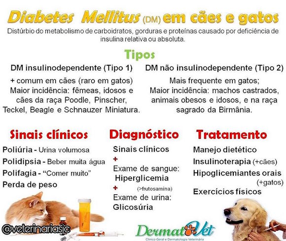 causas diabetes mellitus em cachorros