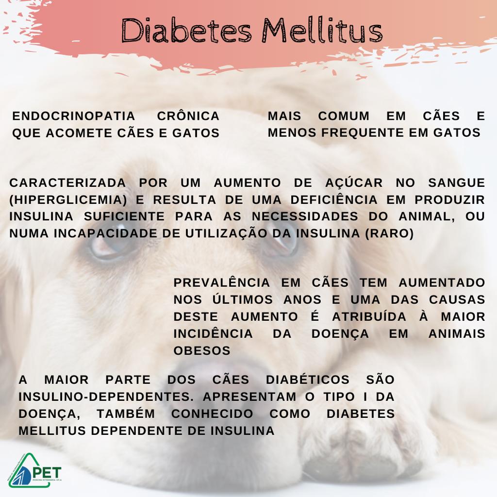 insulina canina caninsulin
