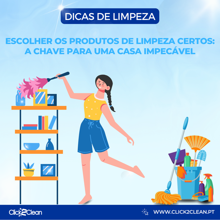 organização diária para casa