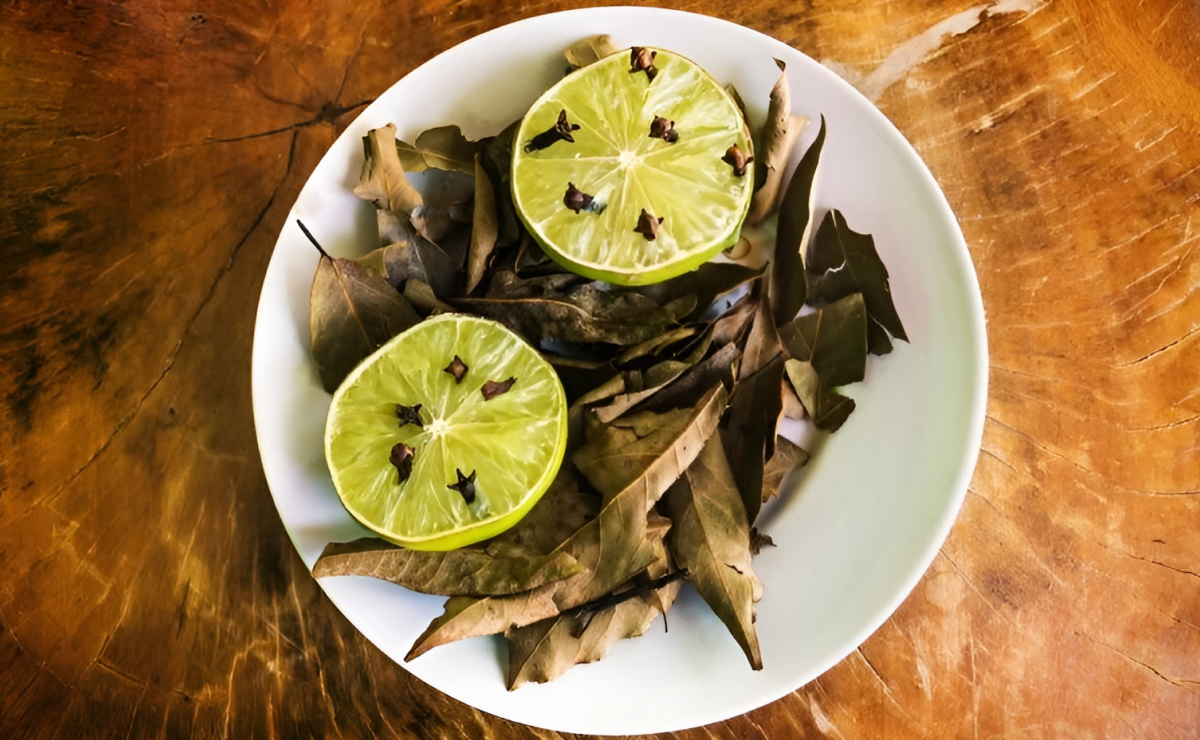 remédios caseiros contra moscas