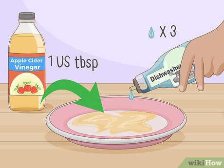 dicas para evitar moscas em casa