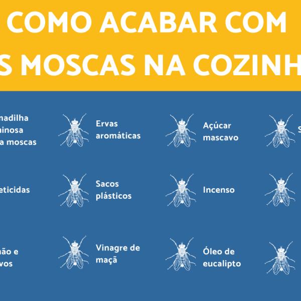 como eliminar moscas de casa naturalmente