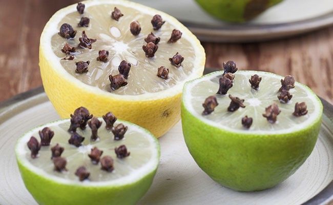 repelentes eficazes para moscas domésticas