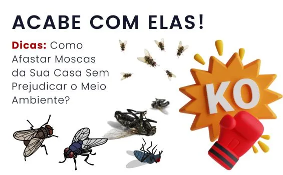 como eliminar moscas de casa naturalmente