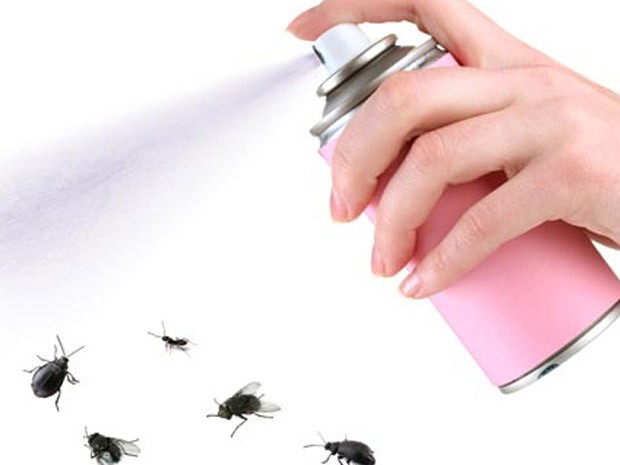 remédios caseiros contra moscas