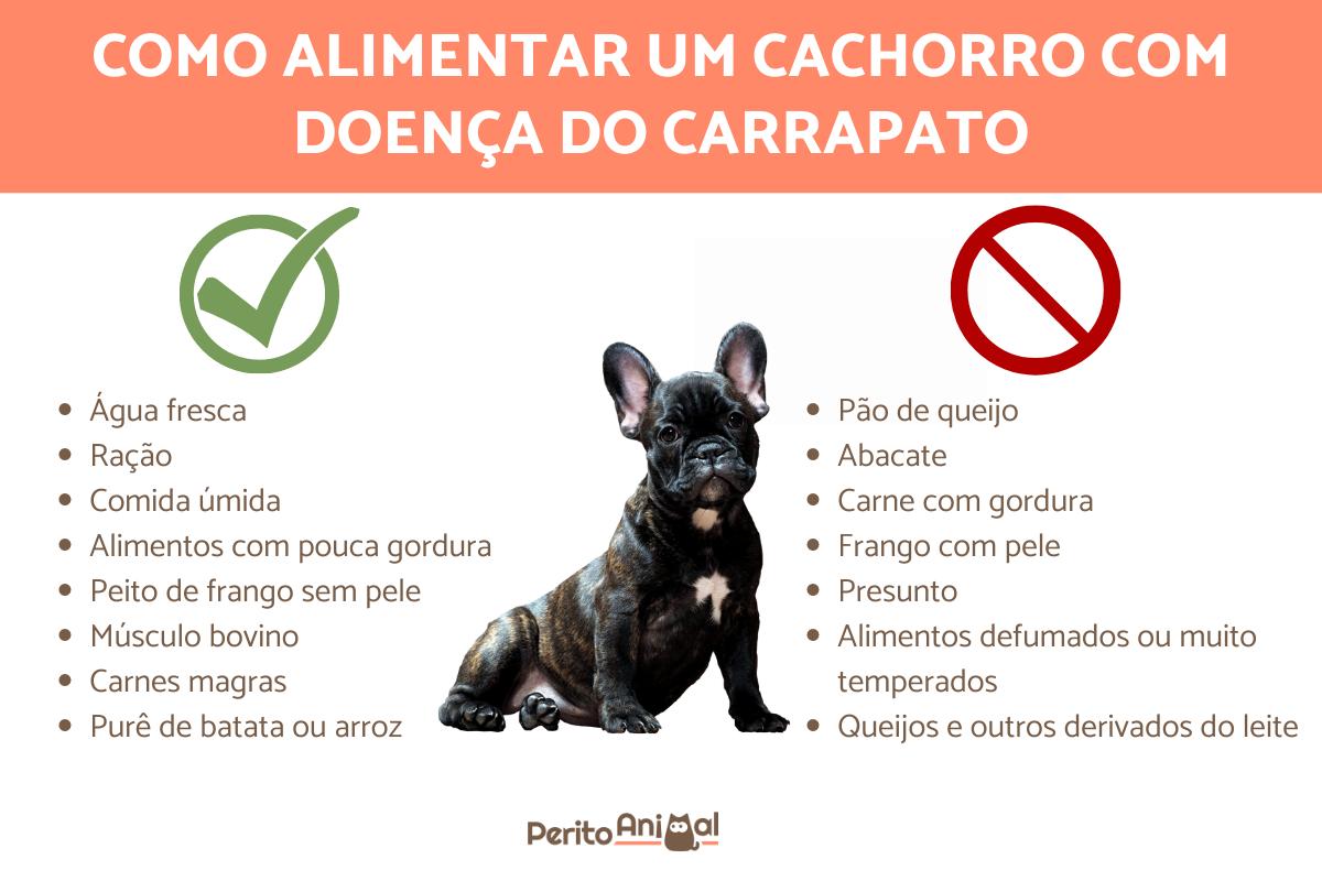 doença do carrapato em cachorro