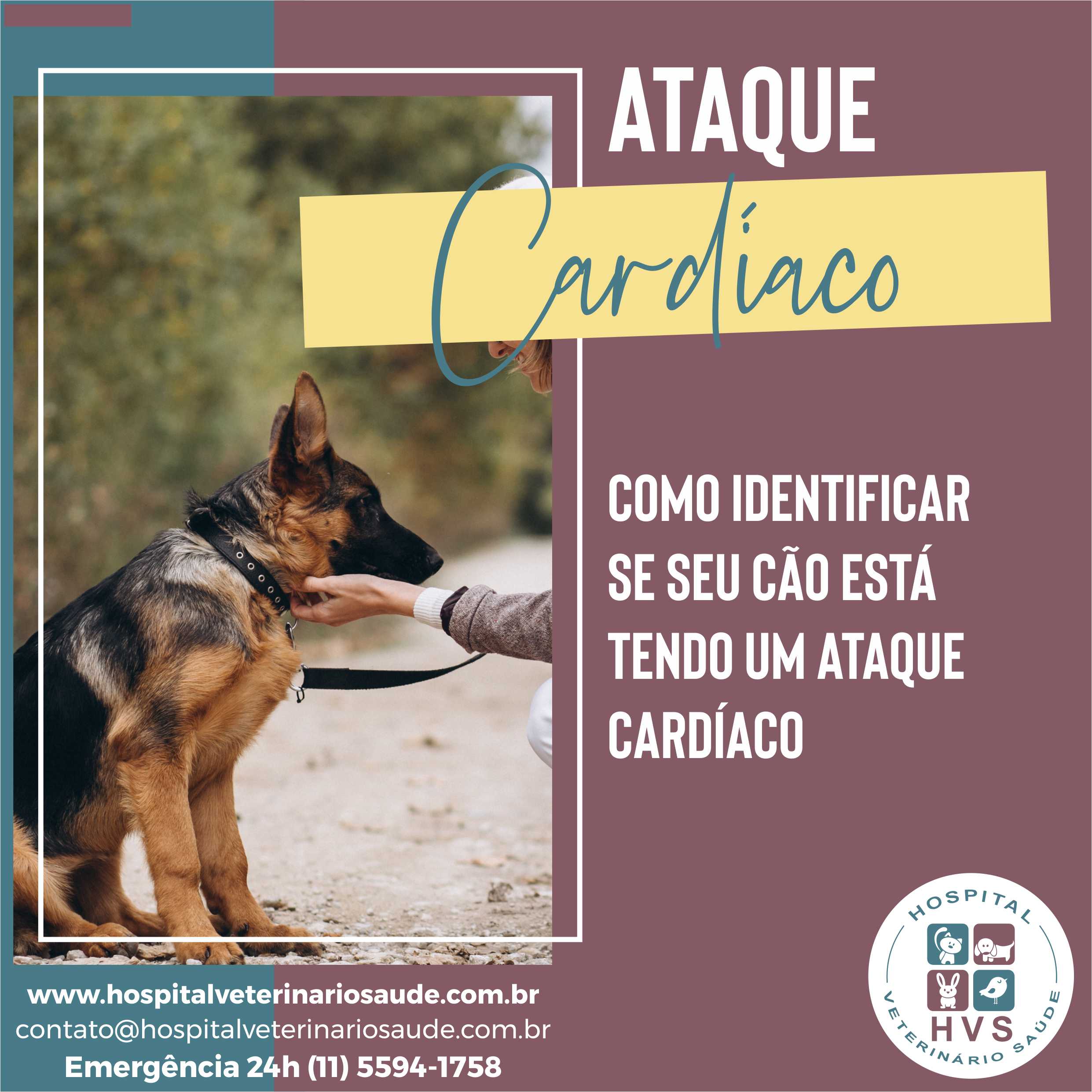 doenças cardíacas em cães