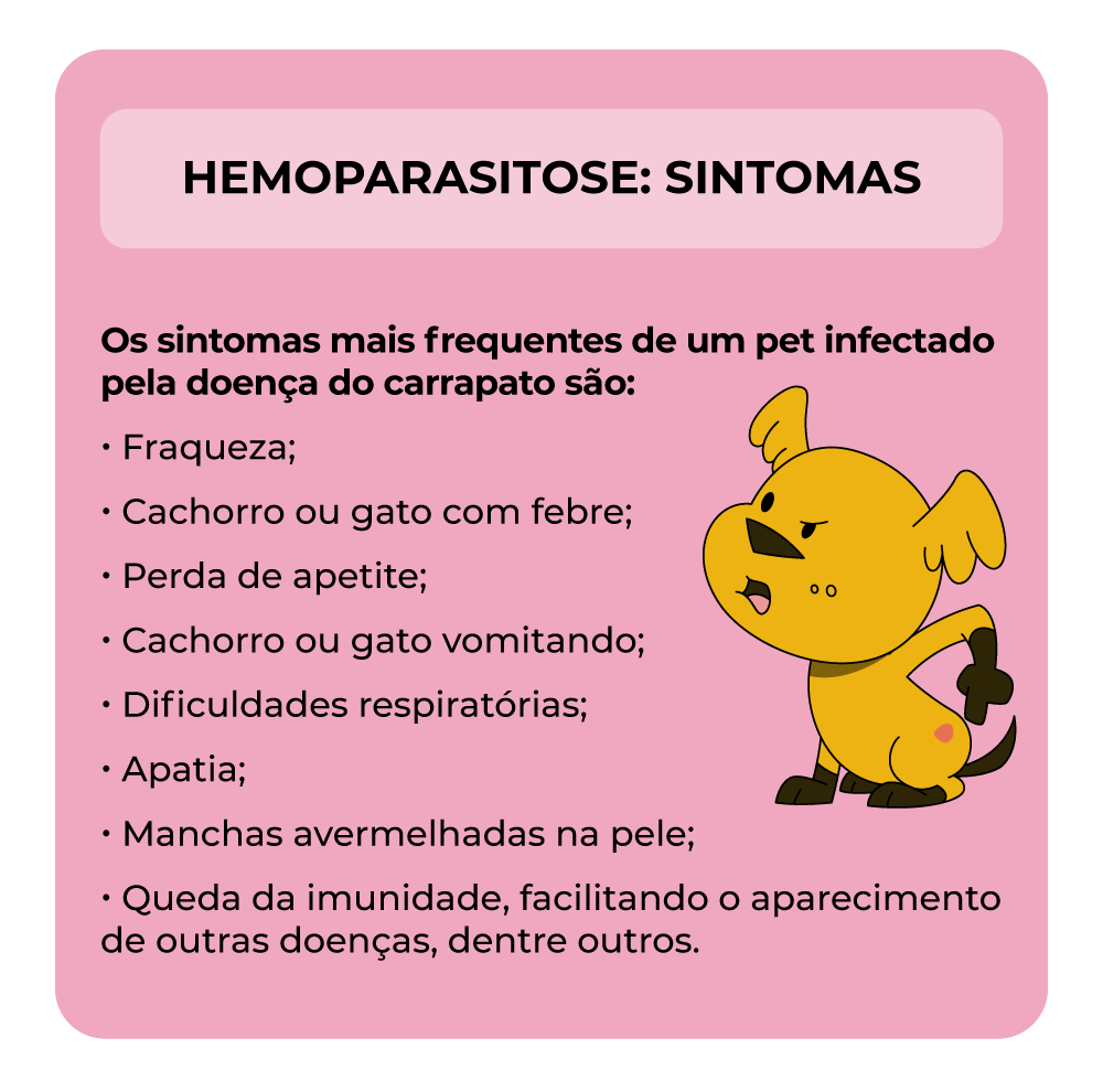 sintomas da doença do carrapato