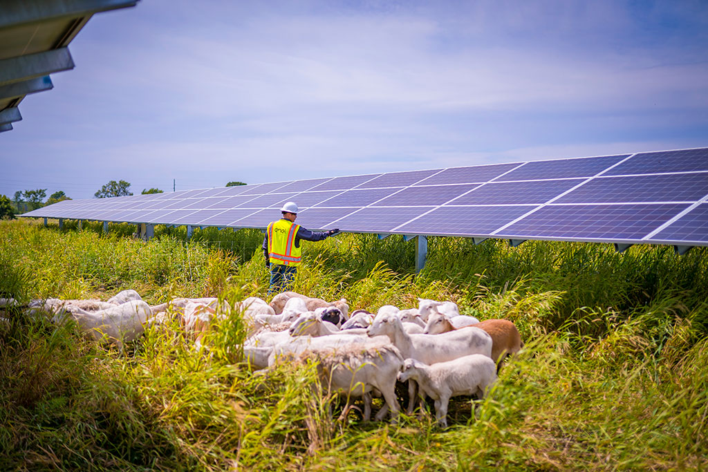 energia solar para fazendas