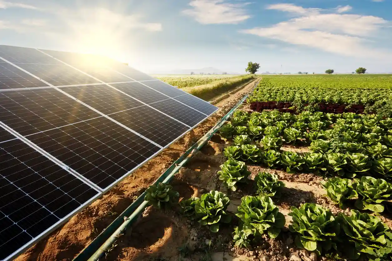 agrivoltaica no Brasil