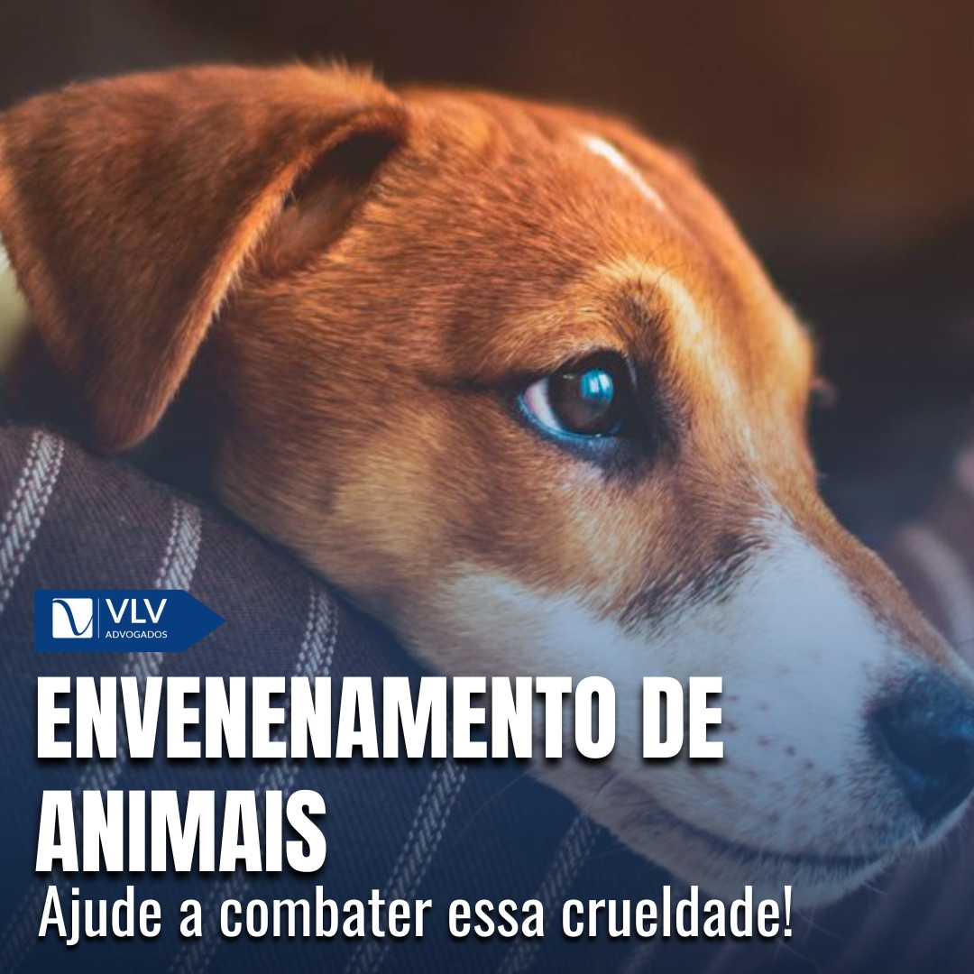 carvão ativado para cães envenenados