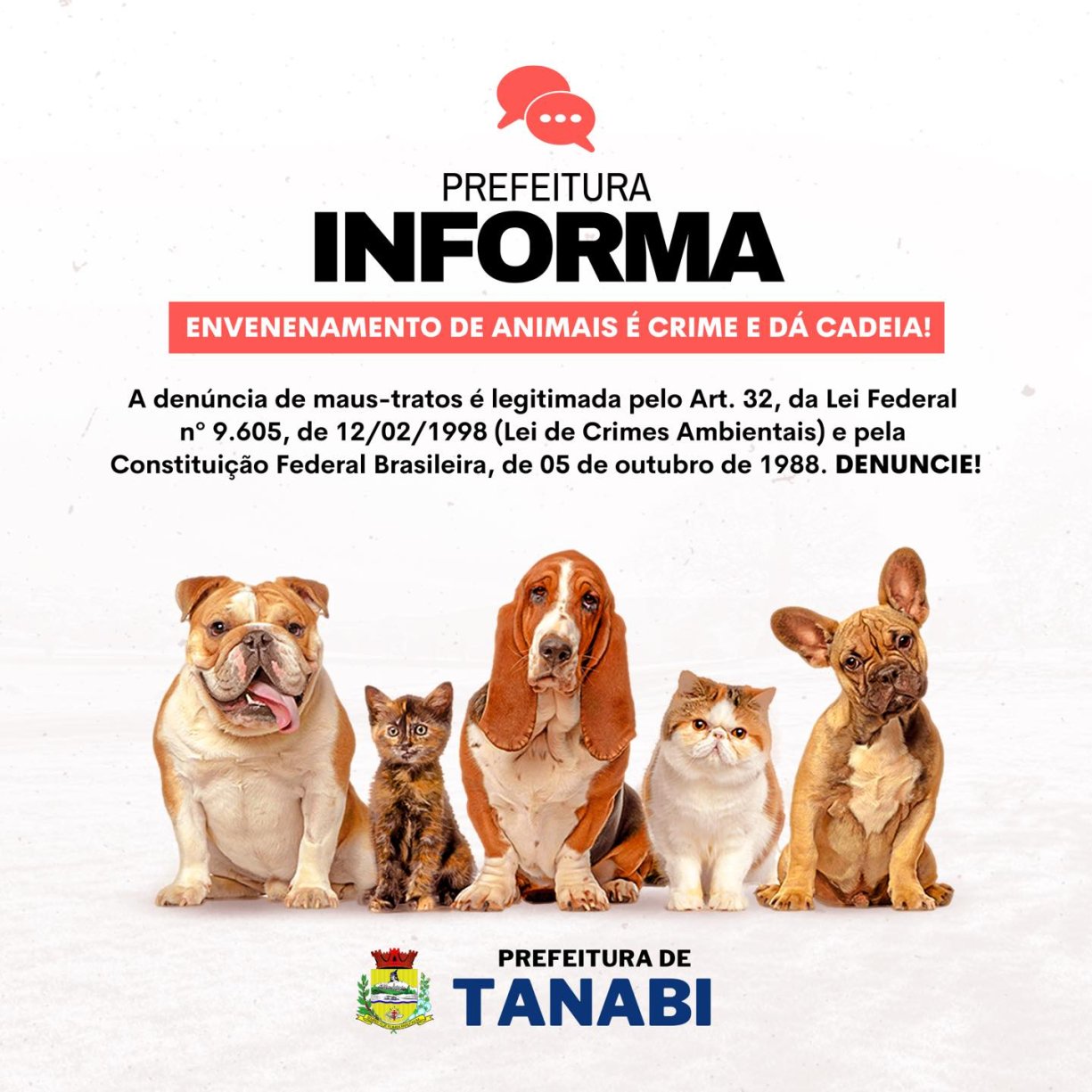 remédio caseiro para cachorro envenenado