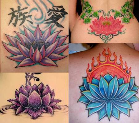 erros comuns ao interpretar o significado da flor de lótus