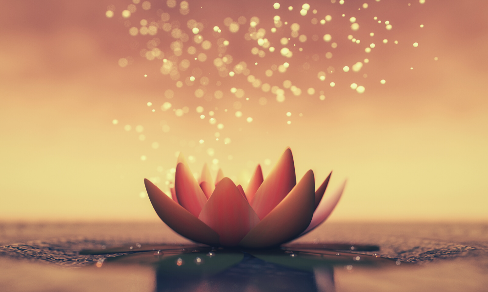 erros comuns ao interpretar o significado da flor de lótus