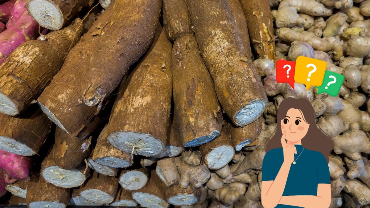 melhores receitas com macaxeira cozida