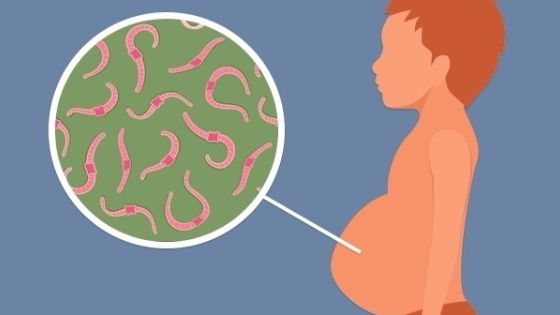 Caramujo Biomphalaria: o hospedeiro da esquistossomose e sua importância