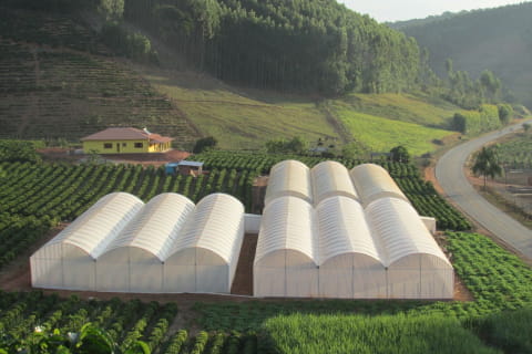 Manutenção preventiva de estufas: Prolongando a vida útil dos materiais