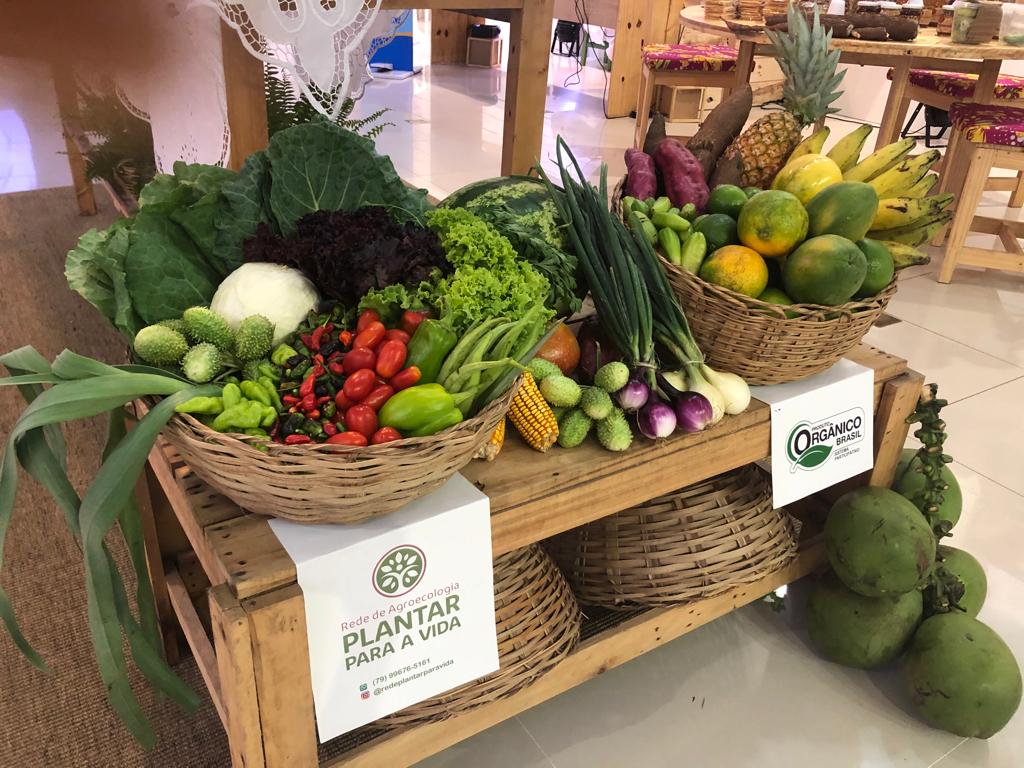 feiras de produtores orgânicos