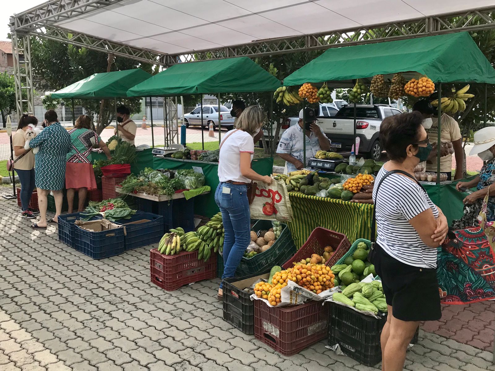 onde encontrar feiras orgânicas perto de mim