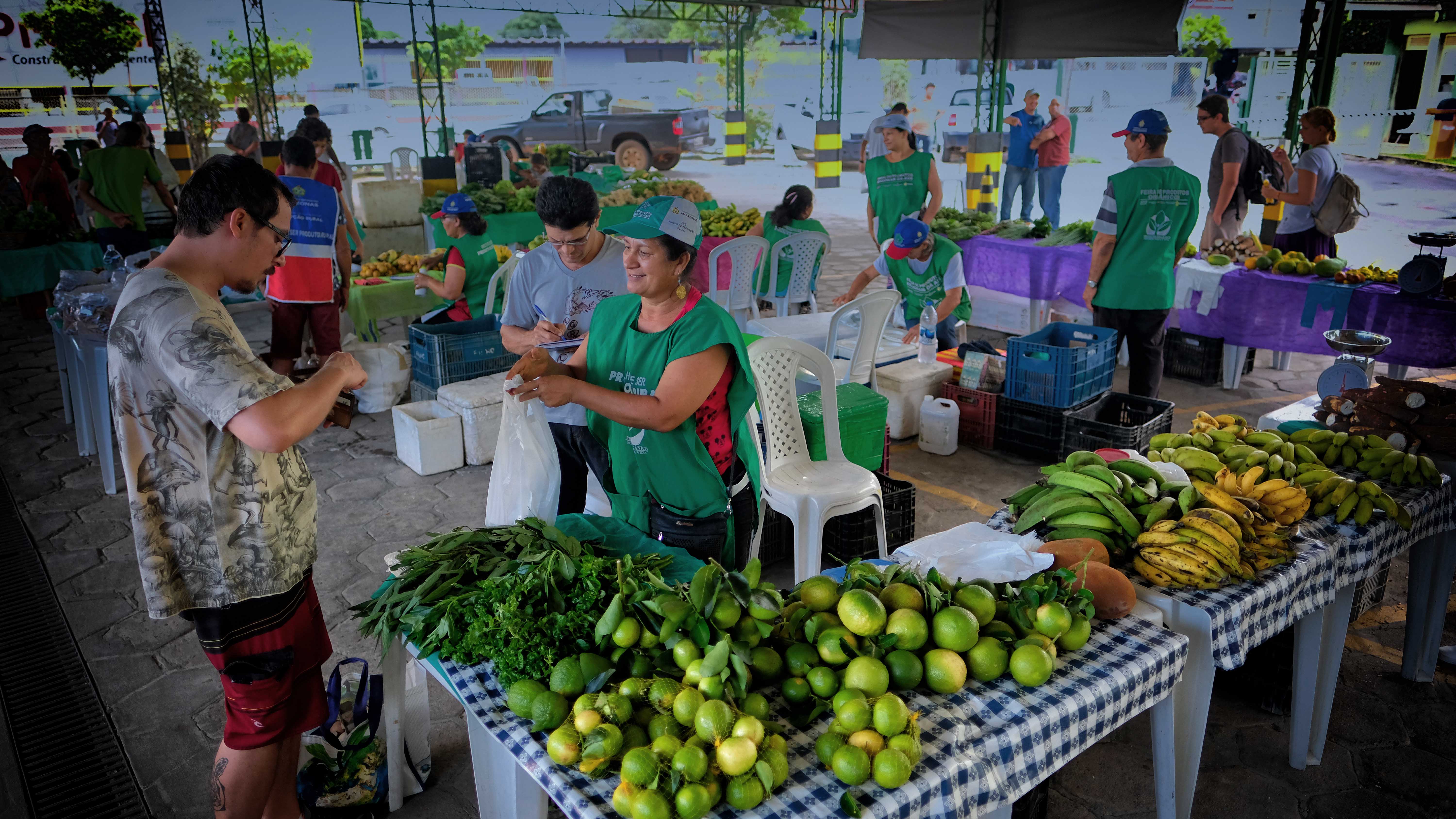 mapa de feiras de produtores orgânicos no Brasil