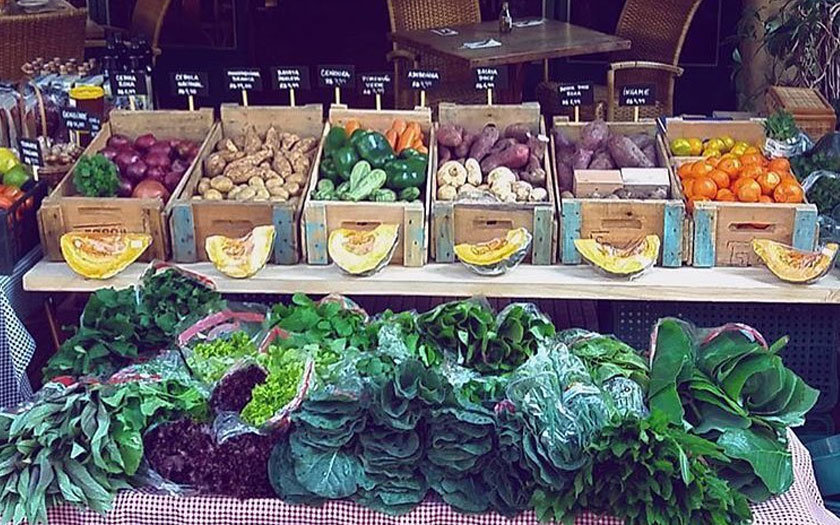 feiras de produtores orgânicos