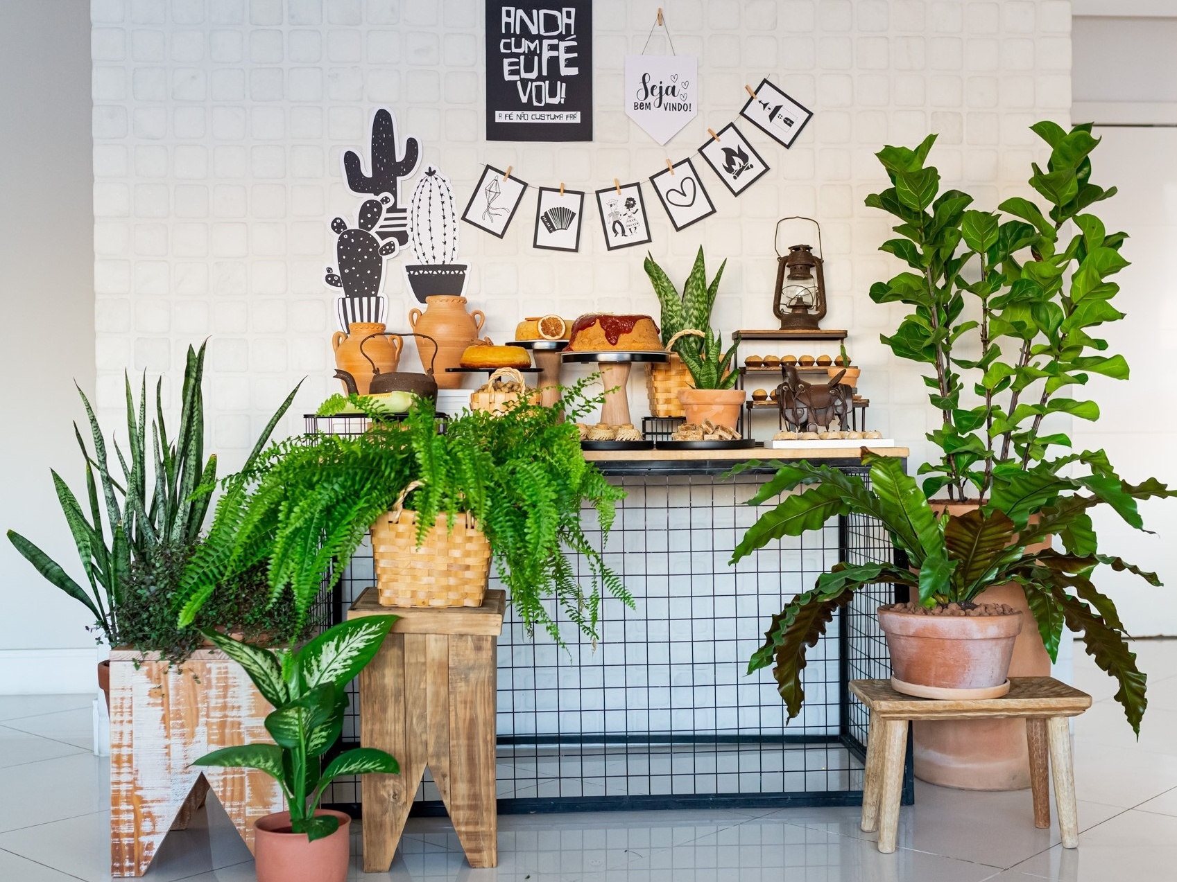 festa junina tema cordel