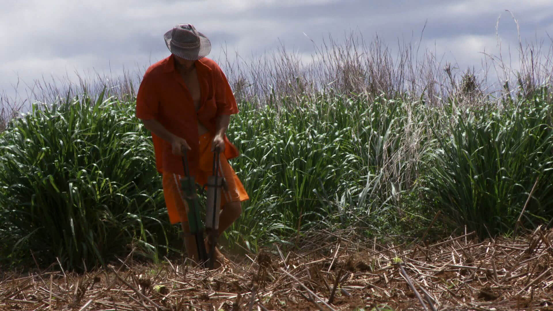 filmes sobre agricultura familiar