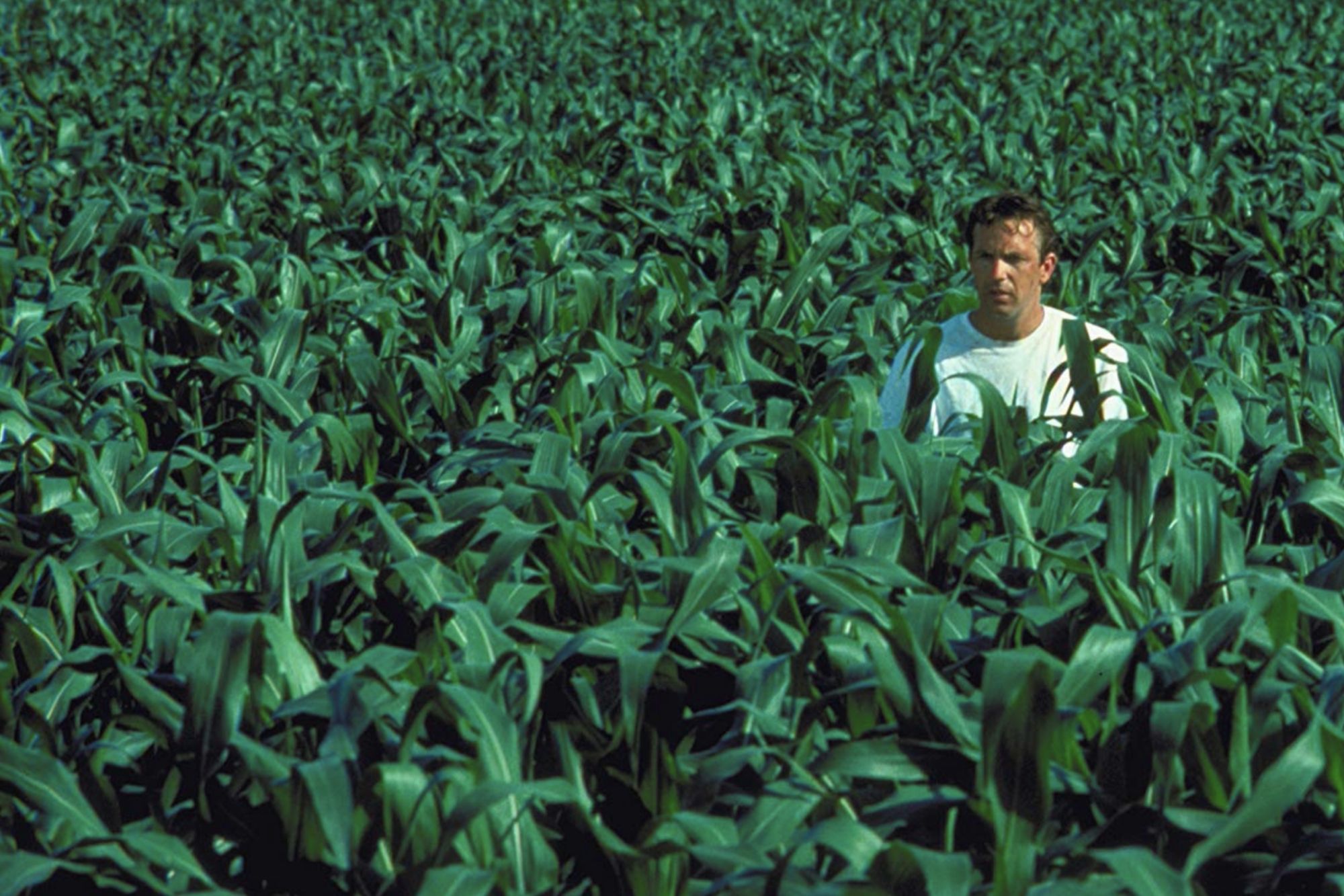 Os Perigos dos Agrotóxicos: Uma Análise de 'O Veneno Está na Mesa'