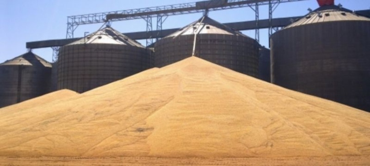 linhas de crédito Pronaf para agricultura familiar