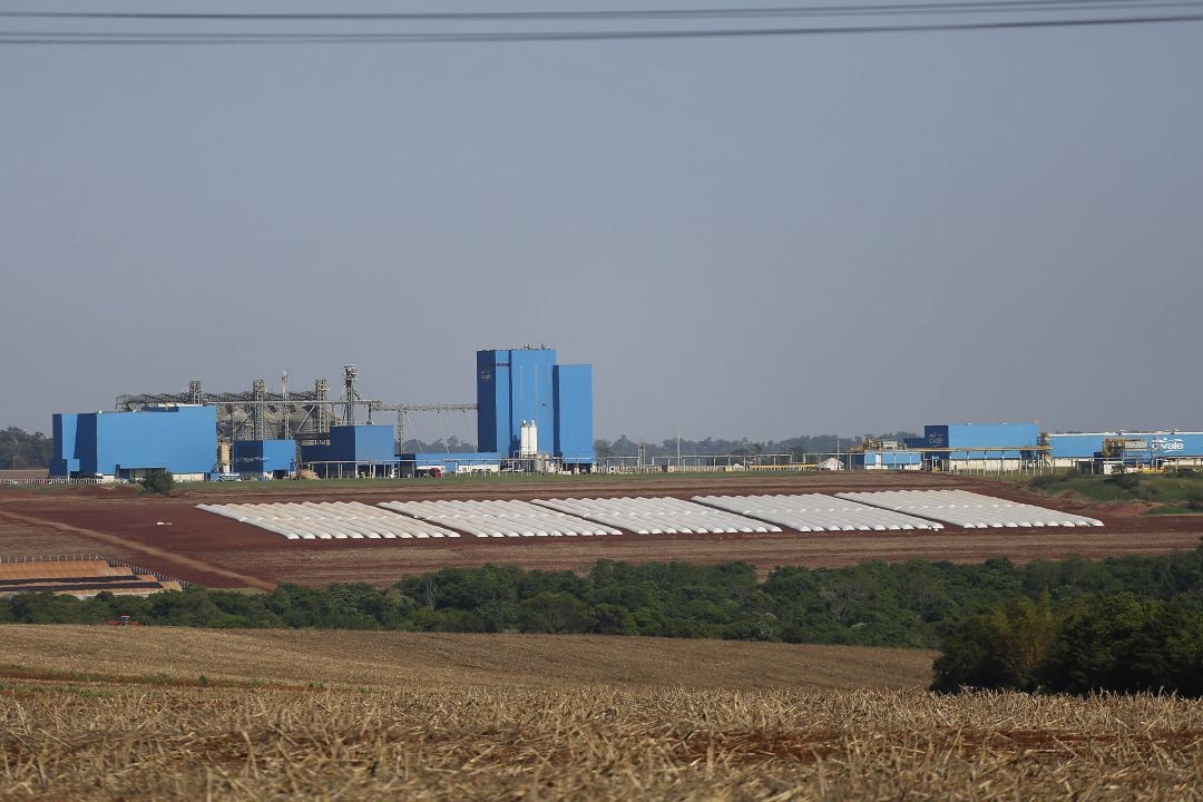 automação e digitalização de armazéns agrícolas
