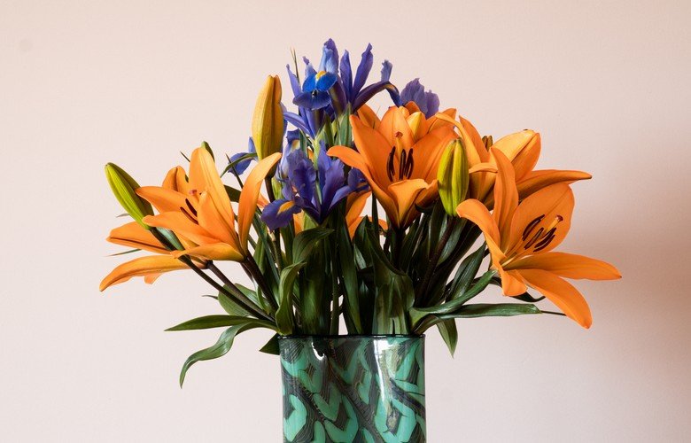 cuidados específicos com a flor Edelweiss