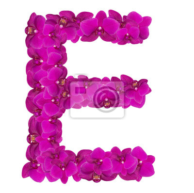 cuidados específicos com a flor Edelweiss