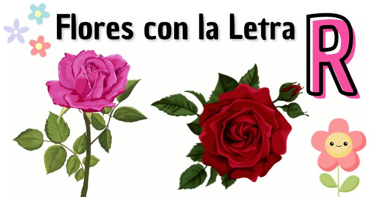 flores com R para buquê