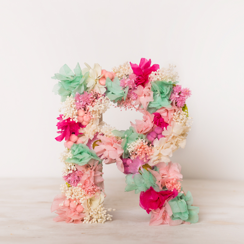 flores com R para iniciantes