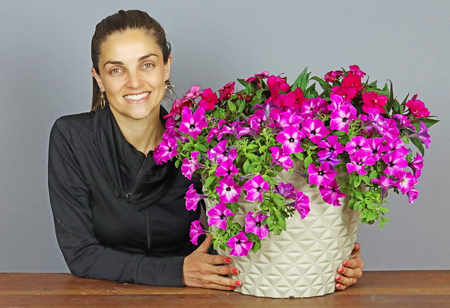 Planta beijinho