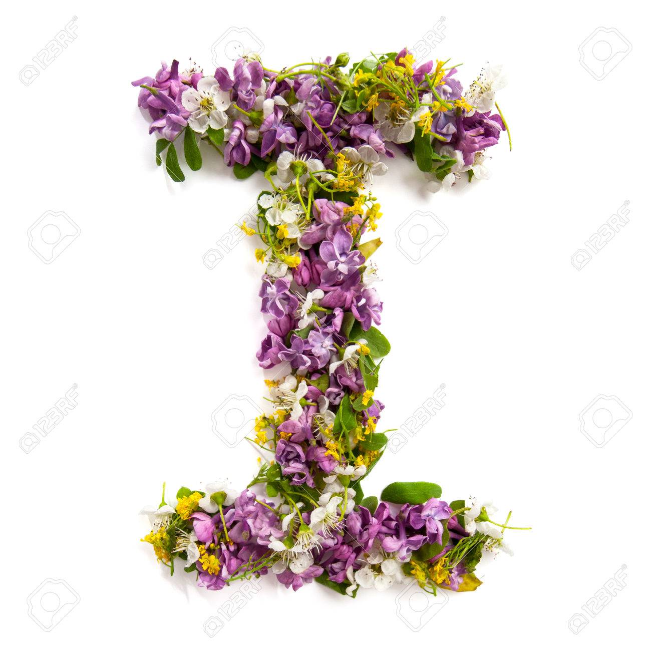 flores com i para jardim