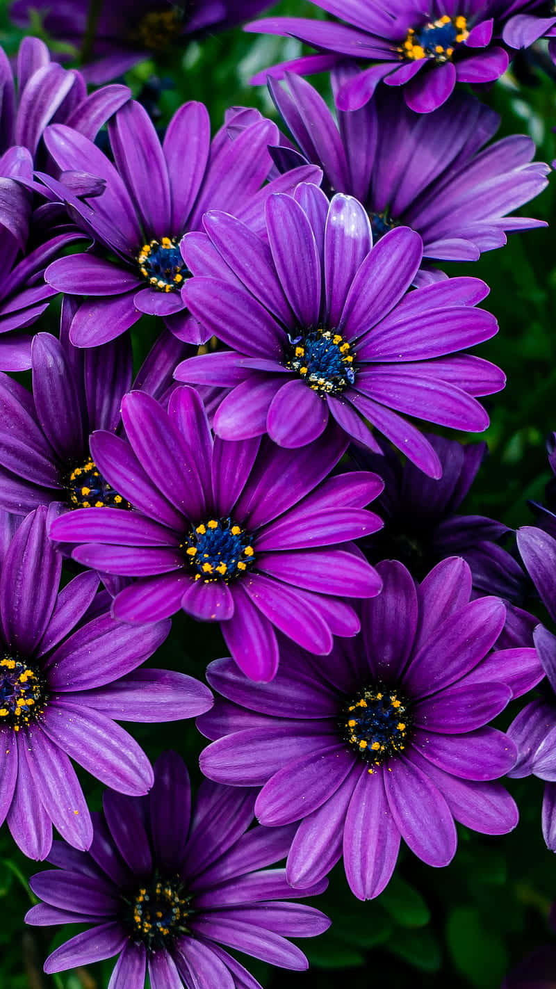 flores roxas artificiais