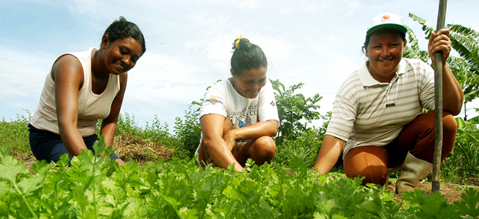 CNPJ para Produtor Rural: O Que Muda em 2026 com a Reforma Tributária