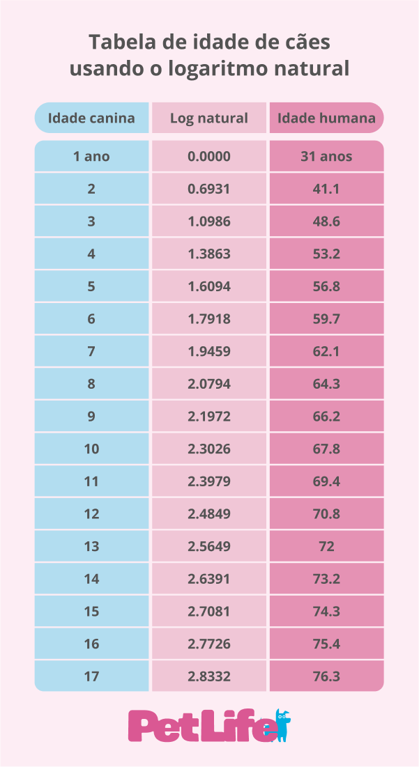 erro comum ao calcular idade do cachorro