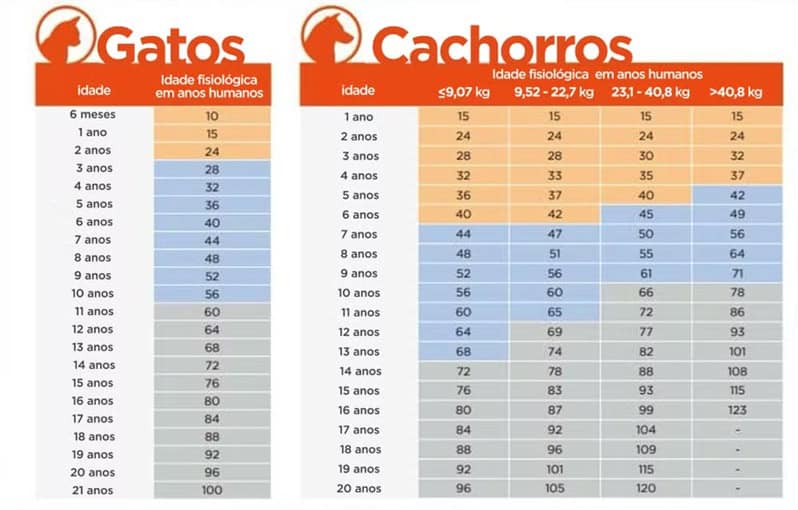 formula dna vs regra 7 anos idade cachorro