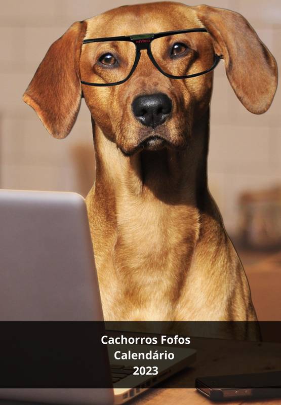 Fotos De Cachorros Fofos
