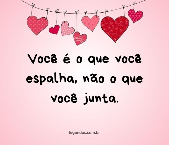 O Poder da Motivação: Frases que Impulsionam sua Jornada de Sucesso