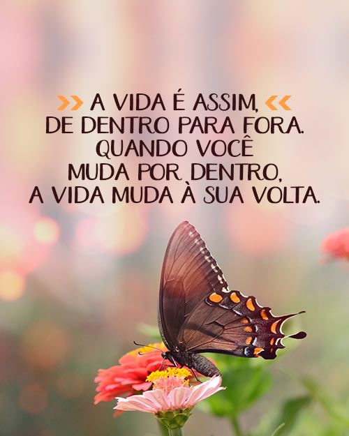 status curtos e impactantes vida