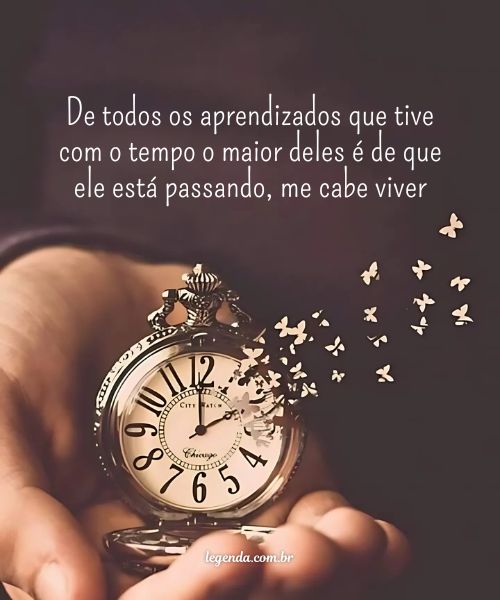 citações sobre viver intensamente