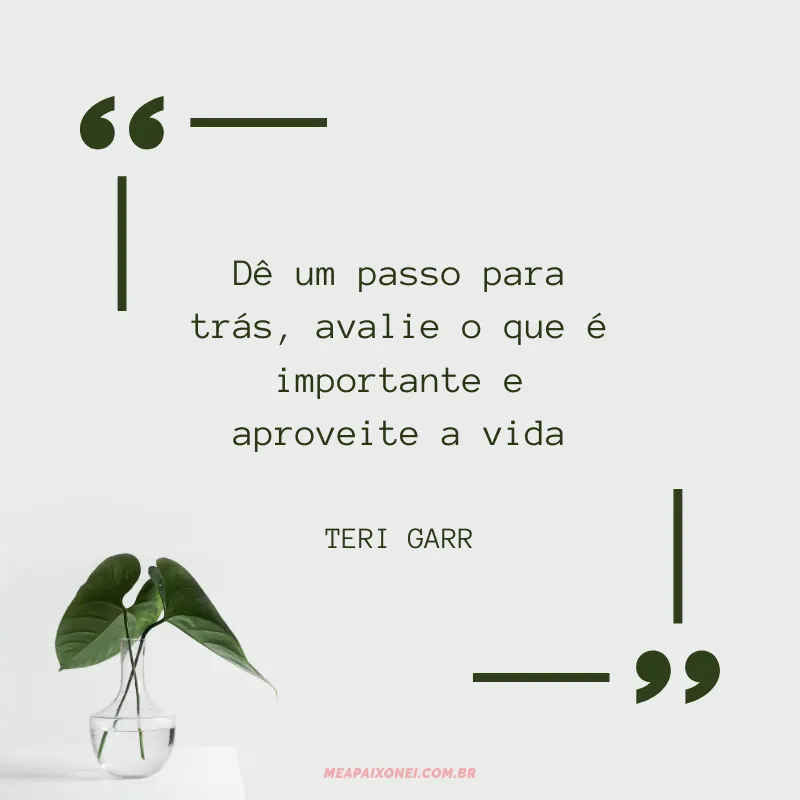 como usar frases de vida no status