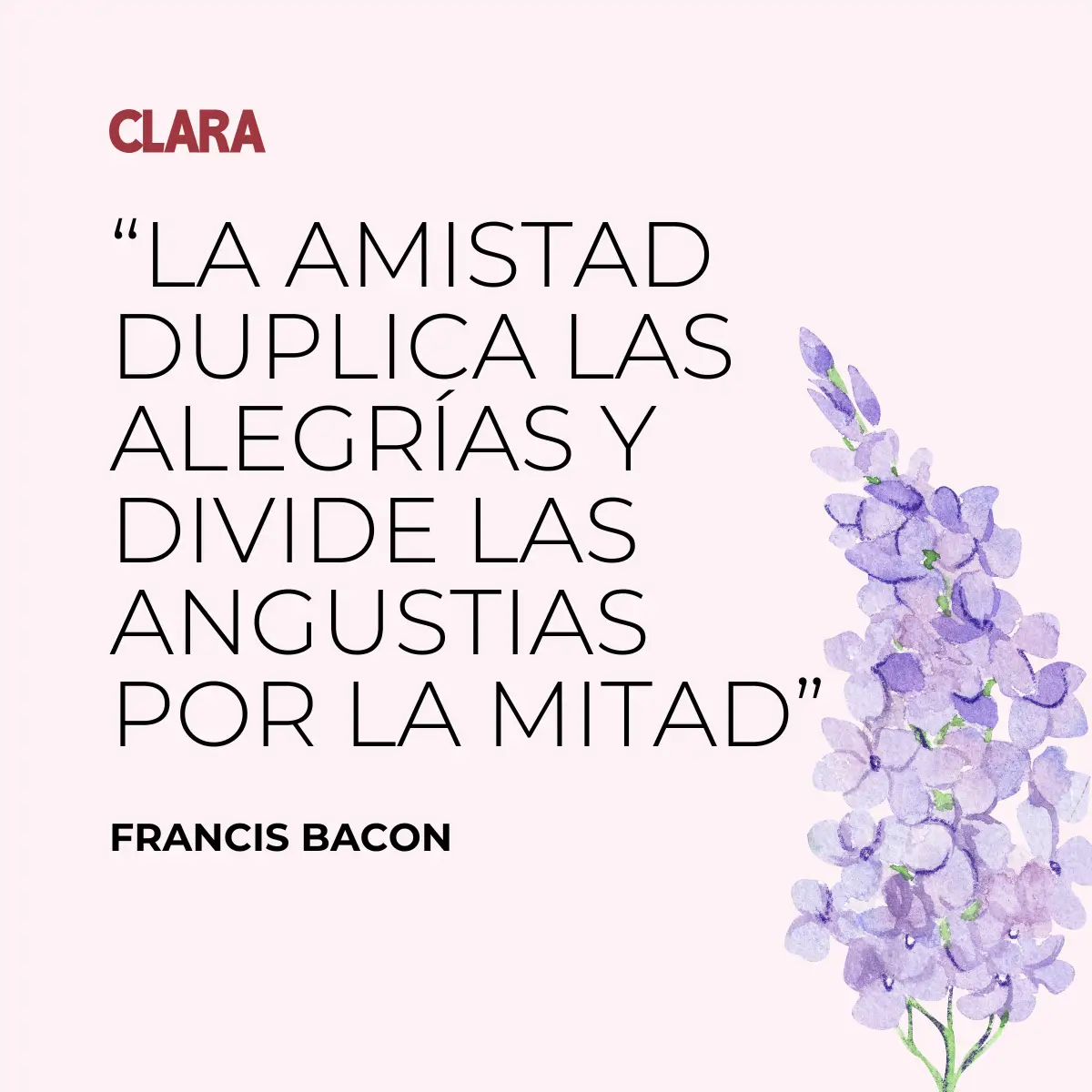 Frases curtas e impactantes para legendas de amizade no TikTok