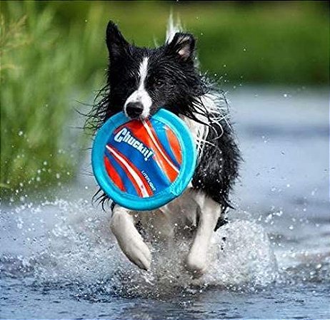 frisbee para cães